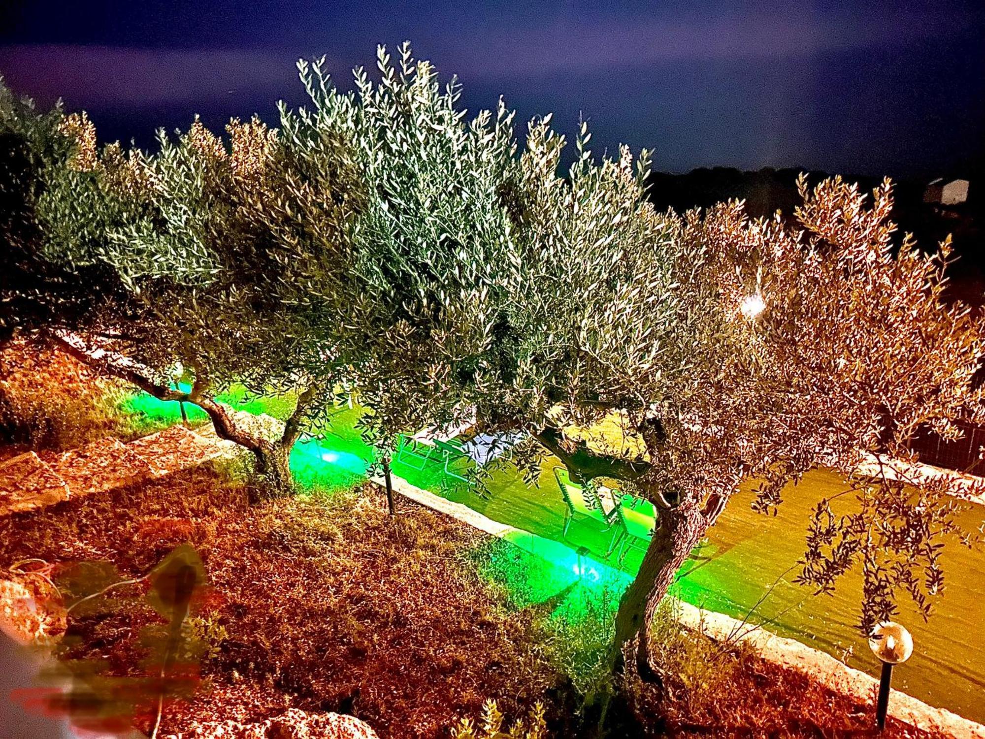Bed and Breakfast La Collina Sul Mare Palma di Montechiaro Exterior foto